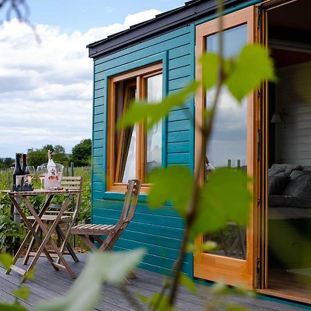 Tiny House In The Vineyard By Gramofon Wine Hotel Iordachianu ภายนอก รูปภาพ