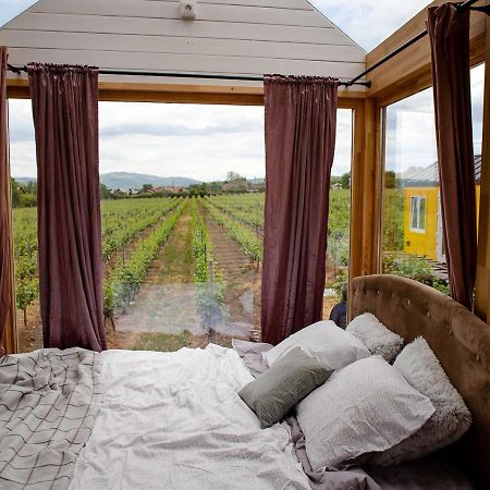Tiny House In The Vineyard By Gramofon Wine Hotel Iordachianu ภายนอก รูปภาพ
