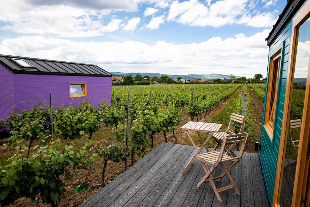 Tiny House In The Vineyard By Gramofon Wine Hotel Iordachianu ภายนอก รูปภาพ