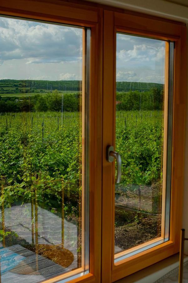 Tiny House In The Vineyard By Gramofon Wine Hotel Iordachianu ภายนอก รูปภาพ