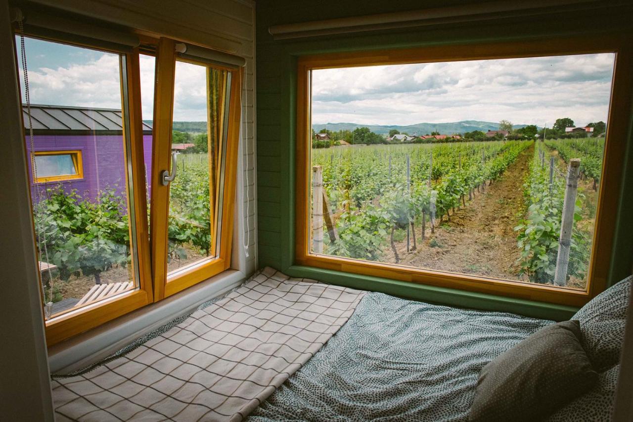 Tiny House In The Vineyard By Gramofon Wine Hotel Iordachianu ภายนอก รูปภาพ
