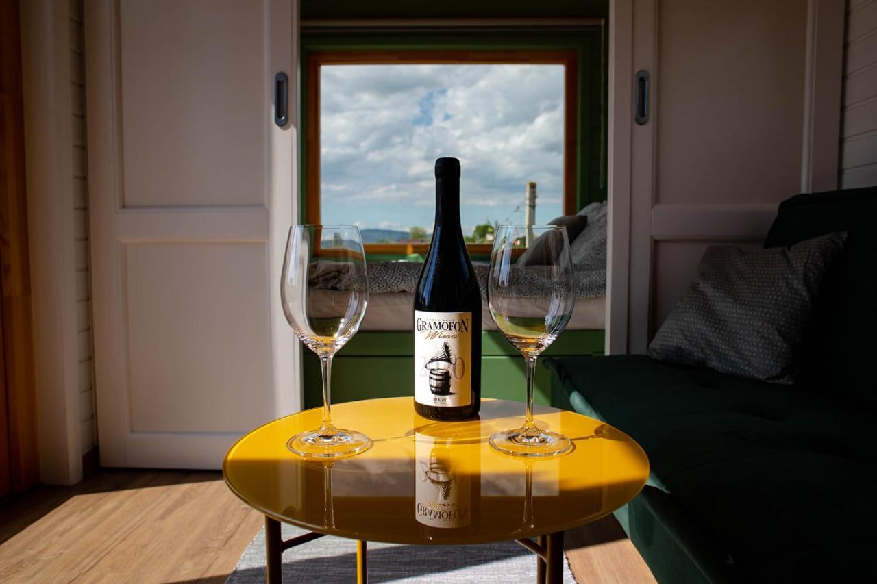 Tiny House In The Vineyard By Gramofon Wine Hotel Iordachianu ภายนอก รูปภาพ