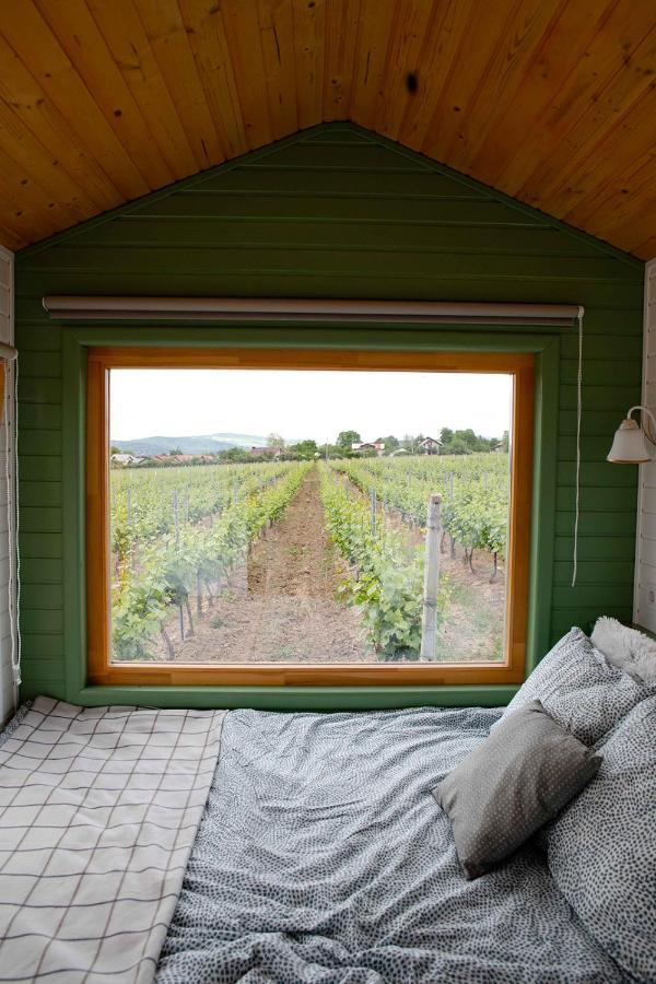 Tiny House In The Vineyard By Gramofon Wine Hotel Iordachianu ภายนอก รูปภาพ