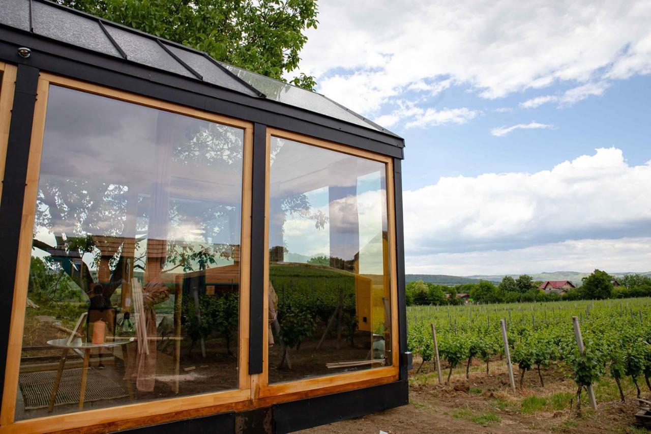 Tiny House In The Vineyard By Gramofon Wine Hotel Iordachianu ภายนอก รูปภาพ