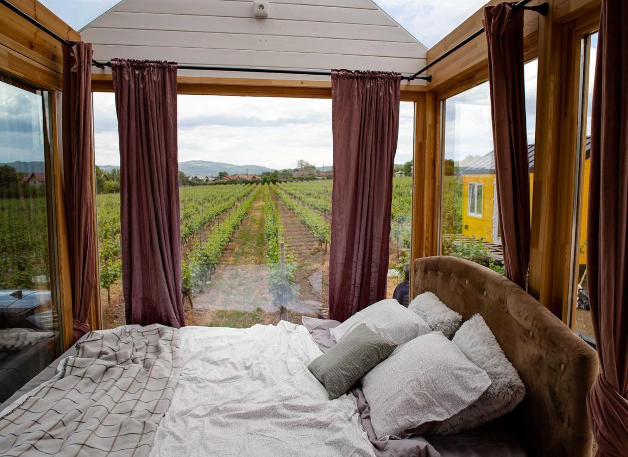 Tiny House In The Vineyard By Gramofon Wine Hotel Iordachianu ภายนอก รูปภาพ
