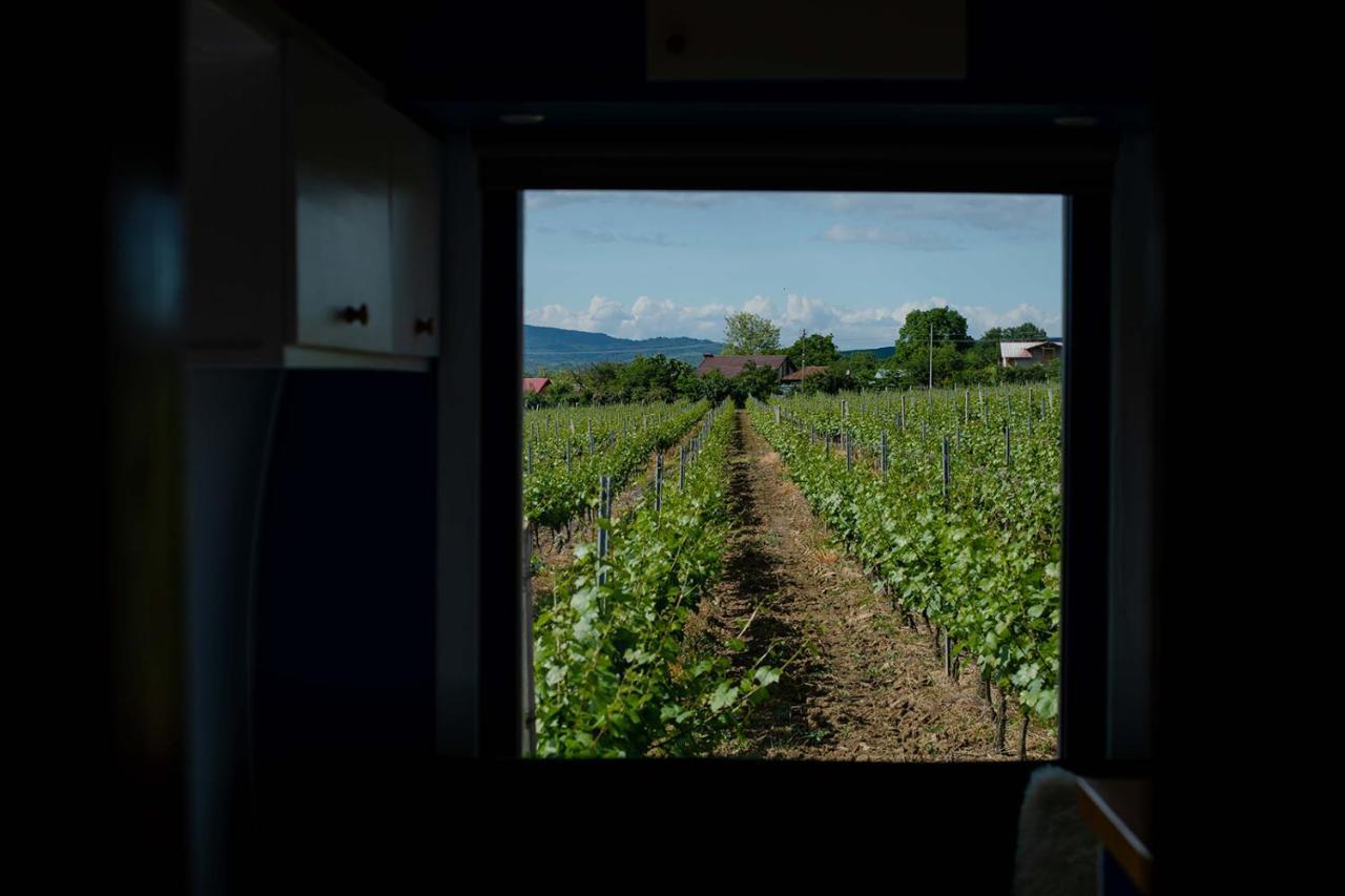 Tiny House In The Vineyard By Gramofon Wine Hotel Iordachianu ภายนอก รูปภาพ