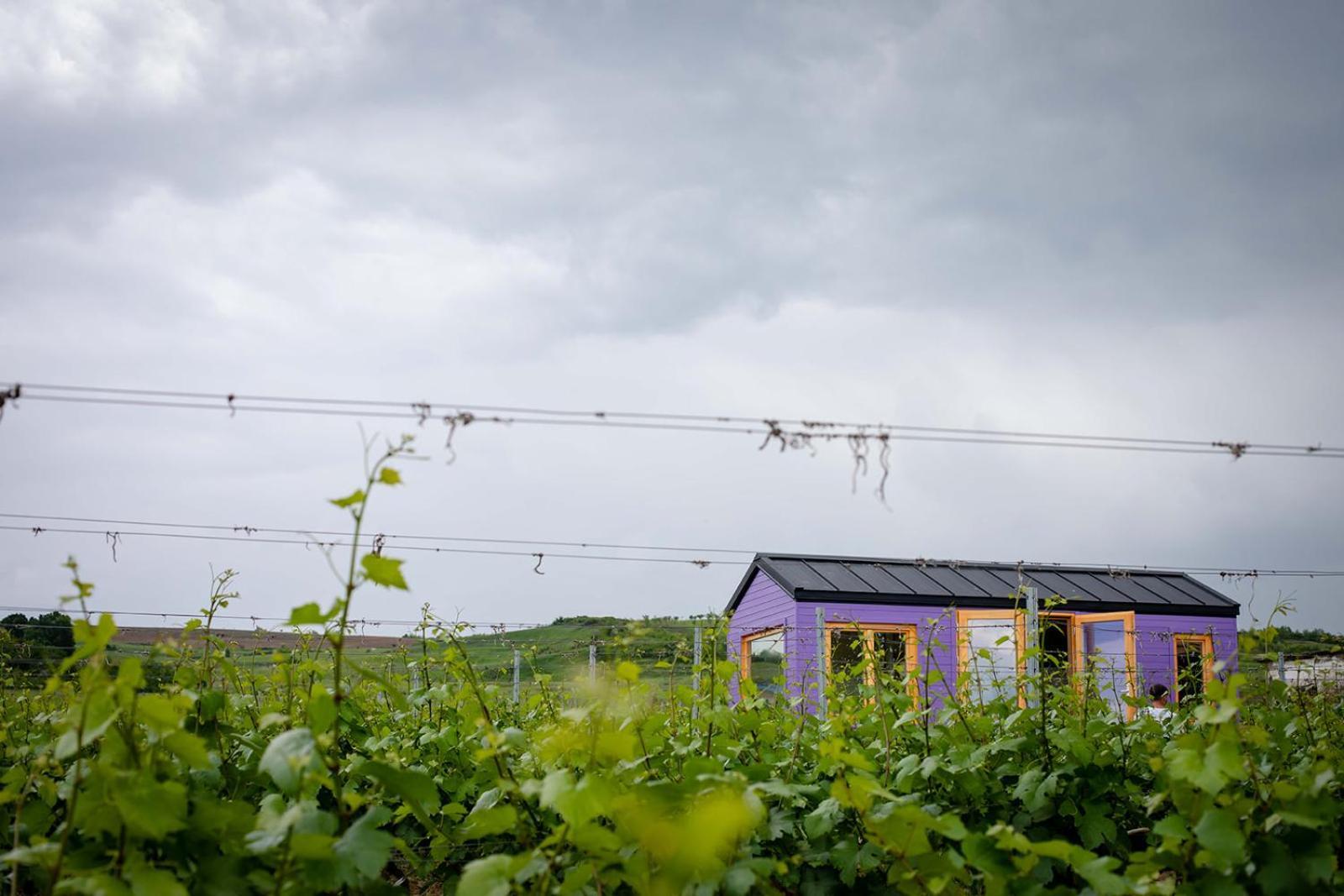 Tiny House In The Vineyard By Gramofon Wine Hotel Iordachianu ห้อง รูปภาพ