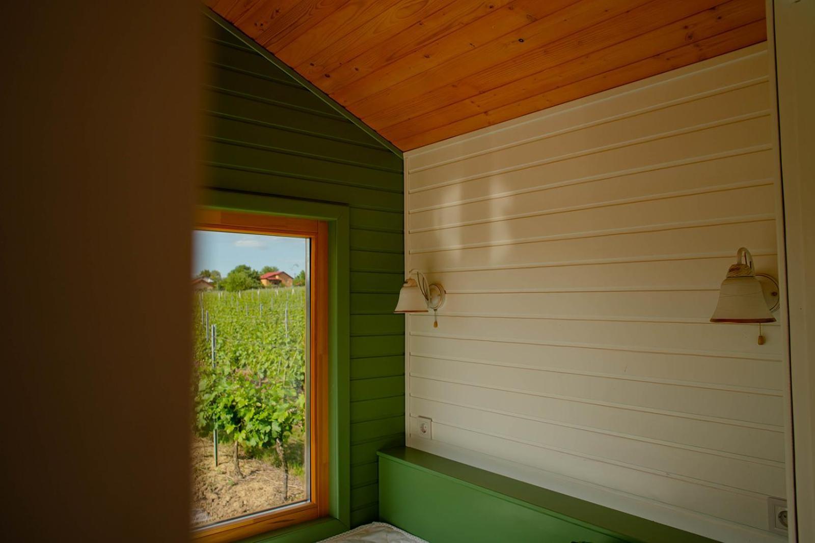 Tiny House In The Vineyard By Gramofon Wine Hotel Iordachianu ห้อง รูปภาพ